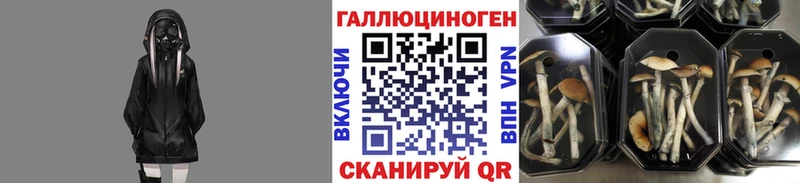 Псилоцибиновые грибы мицелий  Якутск 